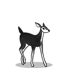 找个自动发货的{固定网站名称23}